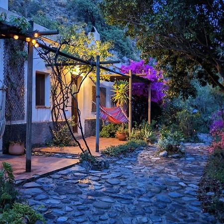 Cortijo Jamaica - Off Grid Paradise - Costa Tropical Los Diaz  外观 照片