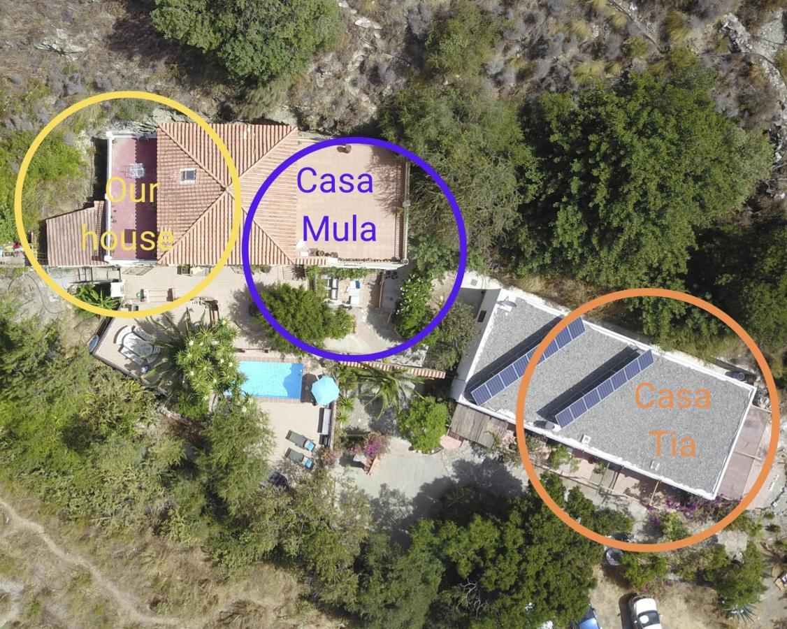 Cortijo Jamaica - Off Grid Paradise - Costa Tropical Los Diaz  外观 照片