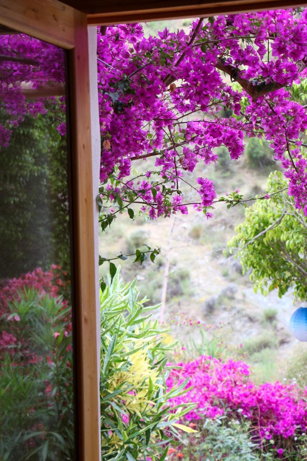 Cortijo Jamaica - Off Grid Paradise - Costa Tropical Los Diaz  外观 照片